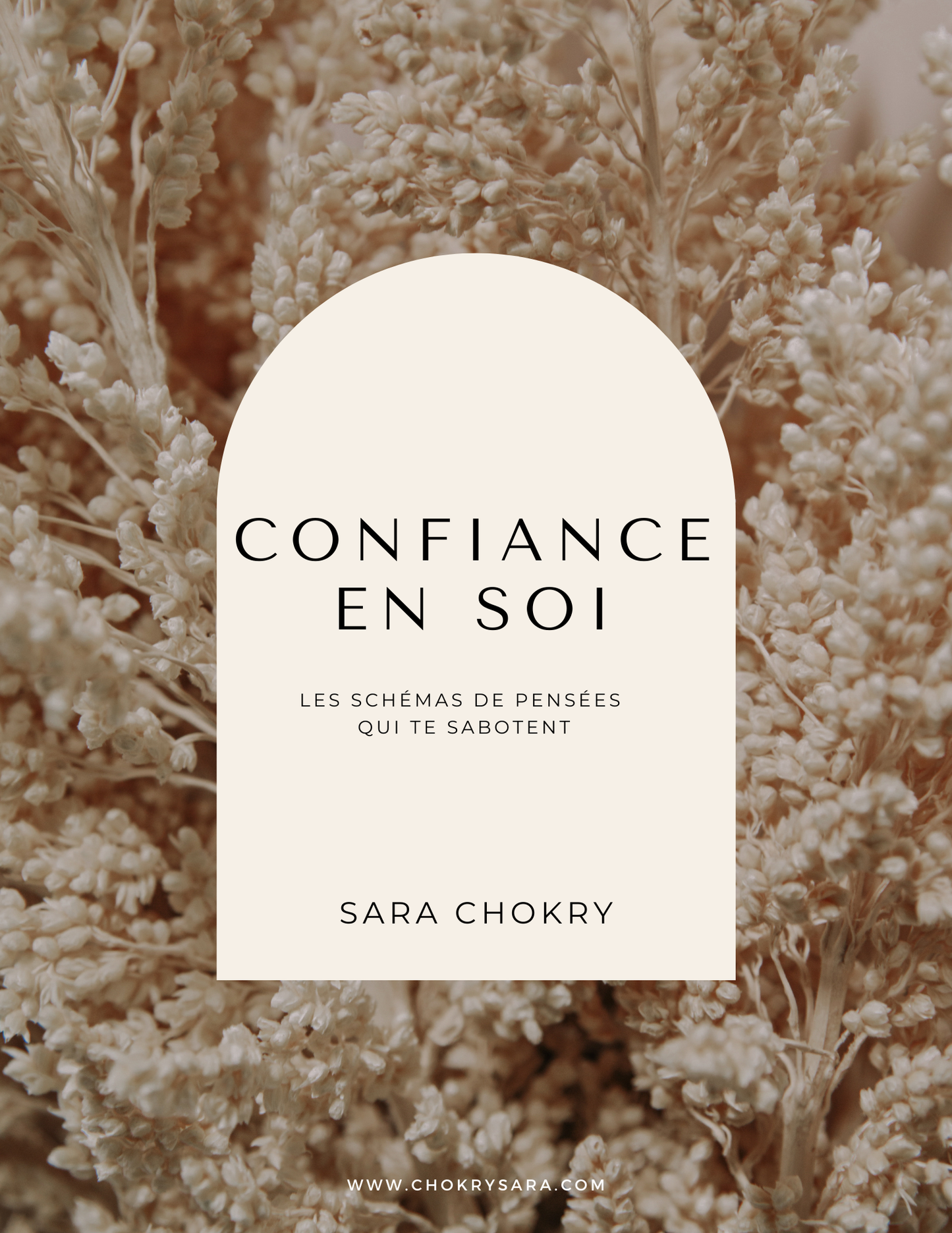 Workbook confiance en soi : schémas qui te sabotent