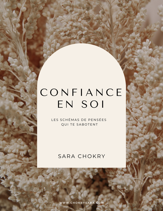 Workbook confiance en soi : schémas qui te sabotent